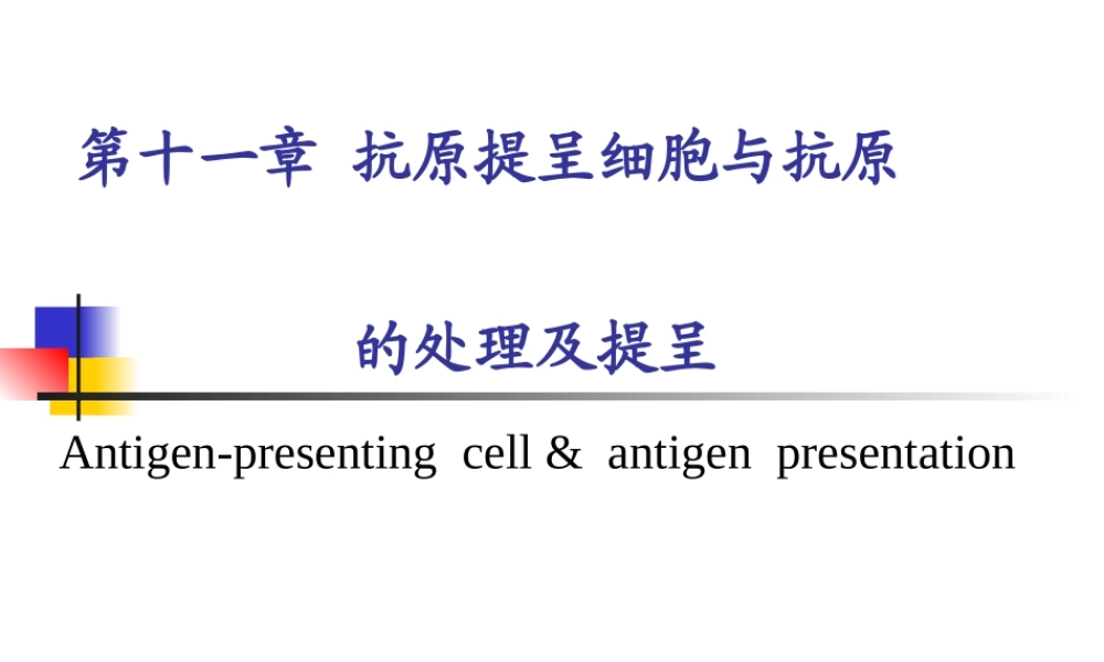 抗原提呈细胞与抗原的处理及提呈.ppt