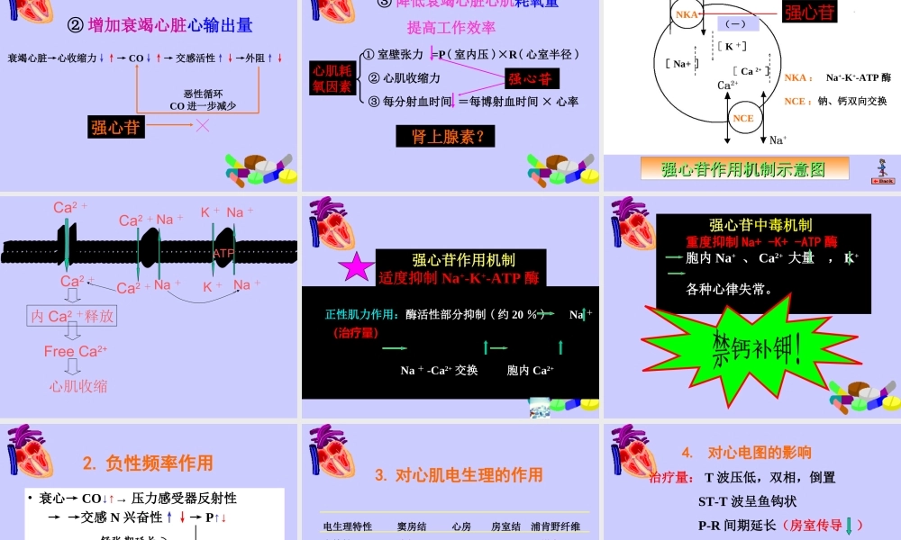 抗心功不全药指导.ppt