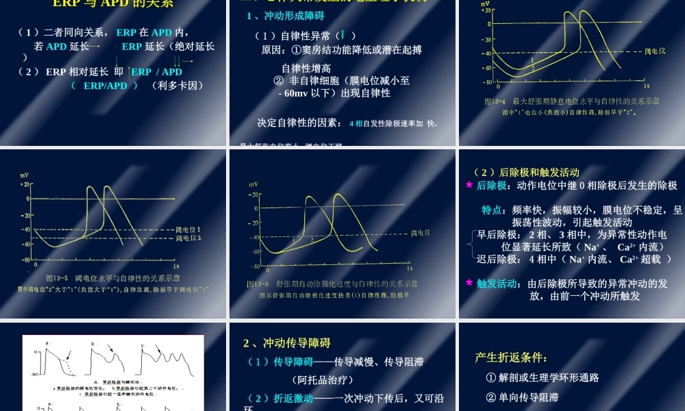 抗心律失常药1.ppt