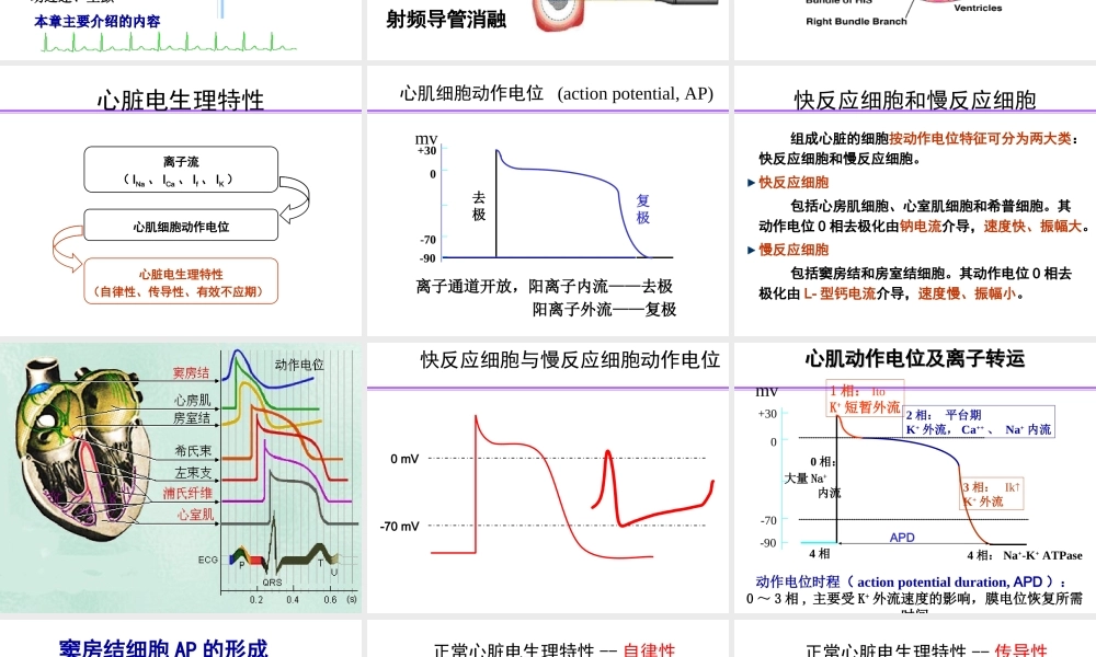 抗心率失常药精讲.ppt