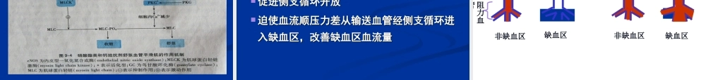 抗心绞痛药-13-9-24.ppt