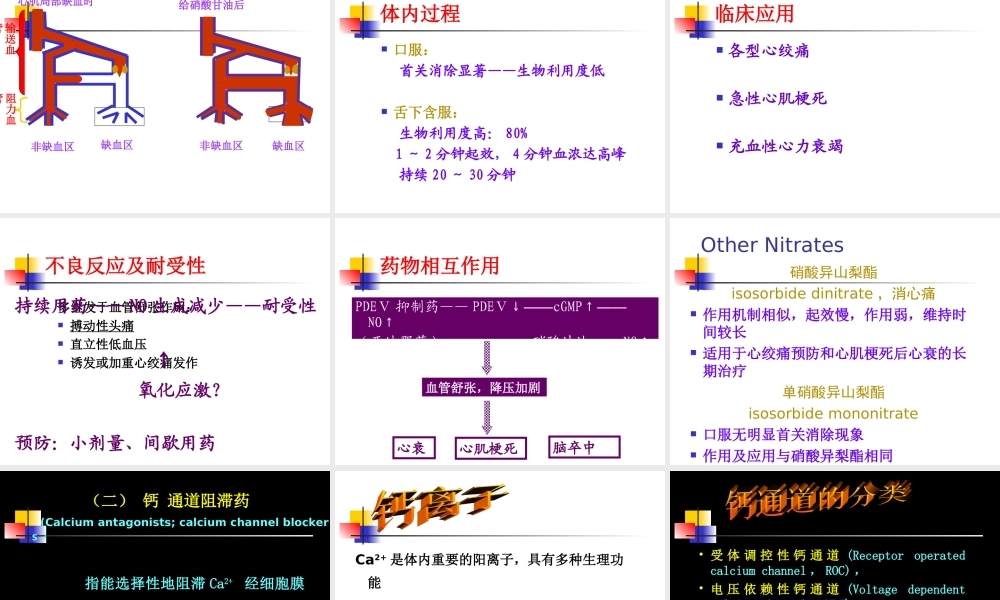 抗心肌缺血药-五年制.ppt