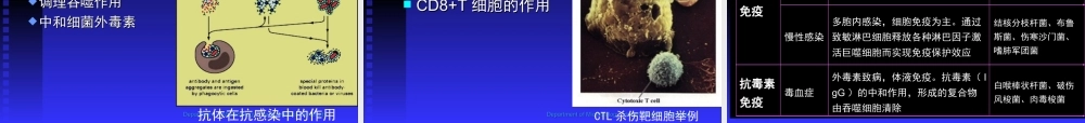 抗感染免疫.ppt