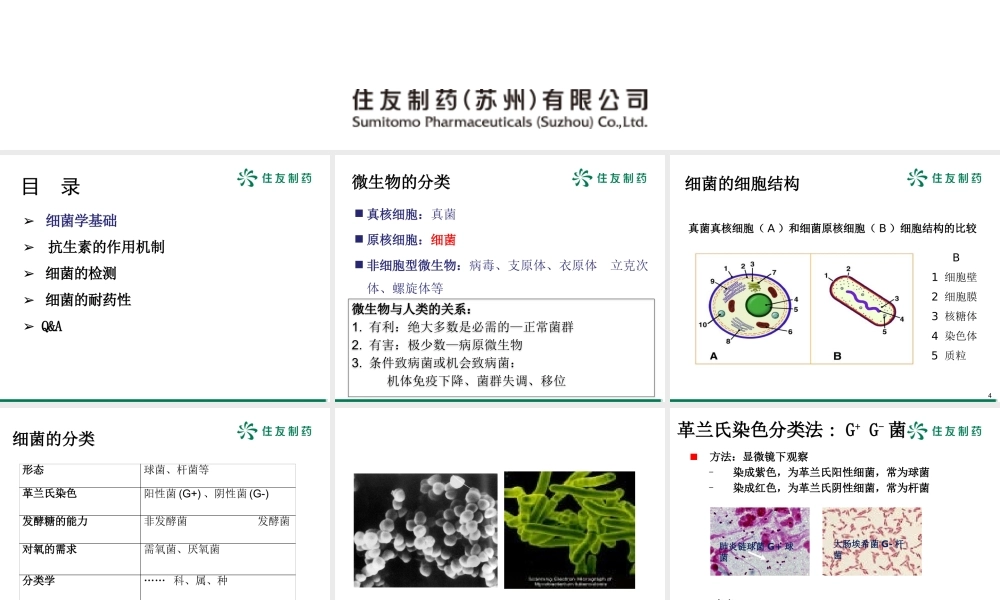 抗感染基础知识.pptx