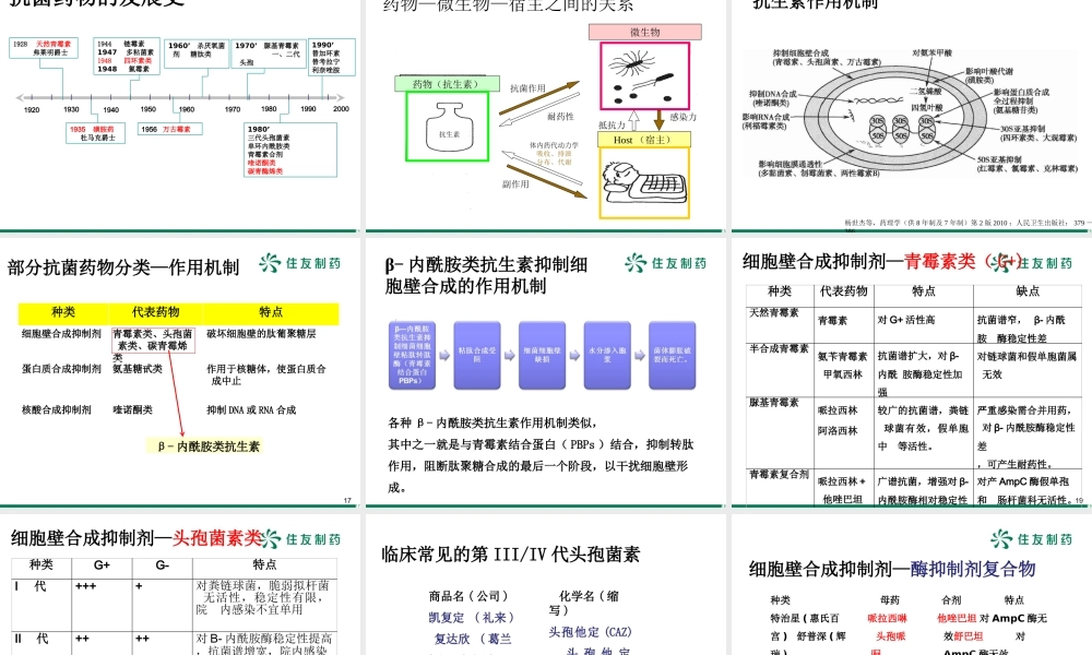 抗感染基础知识.pptx