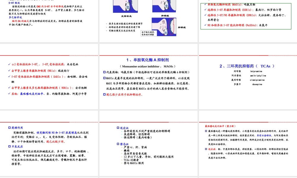 抗抑郁药的使用廖晓飞.ppt