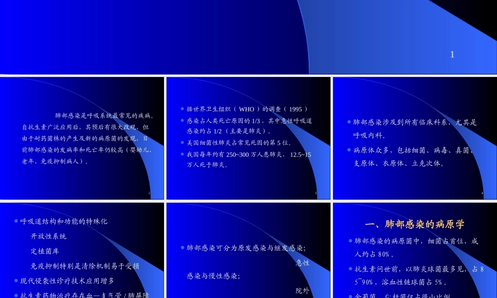 抗生素在肺部感染中的应用pdf.ppt