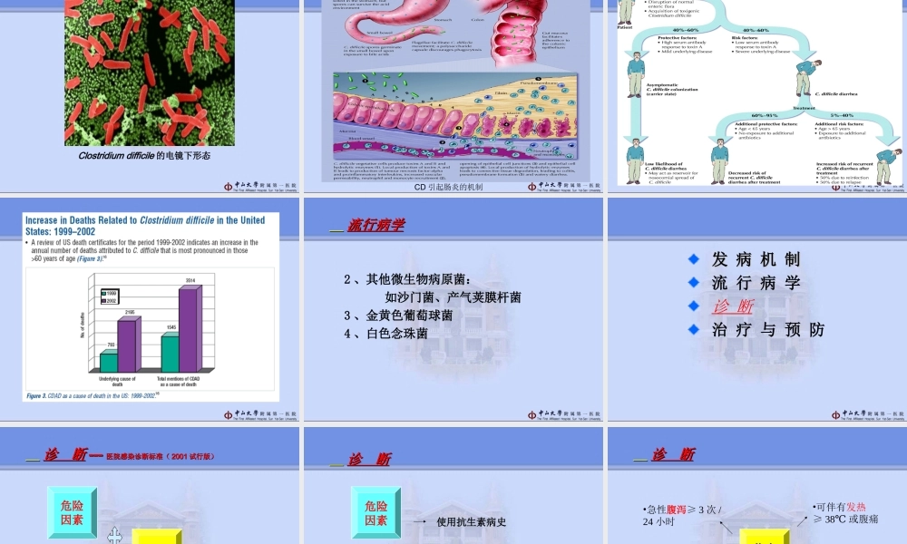 抗生素相关腹泻.ppt