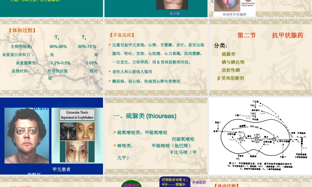 抗甲状腺药.ppt