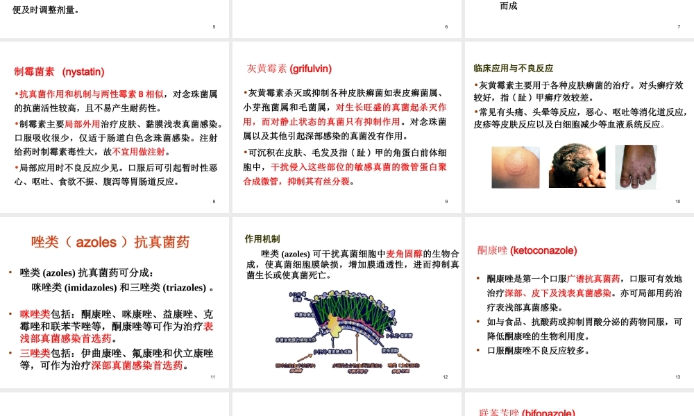 抗真菌药AntifungalDrugs.ppt