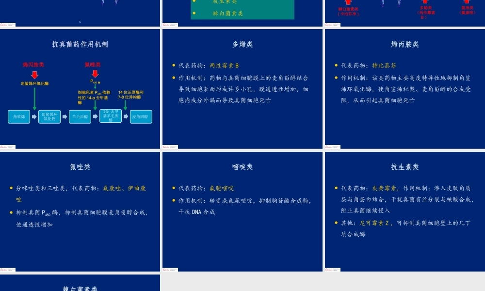 抗真菌药分类和作用机制.pptx
