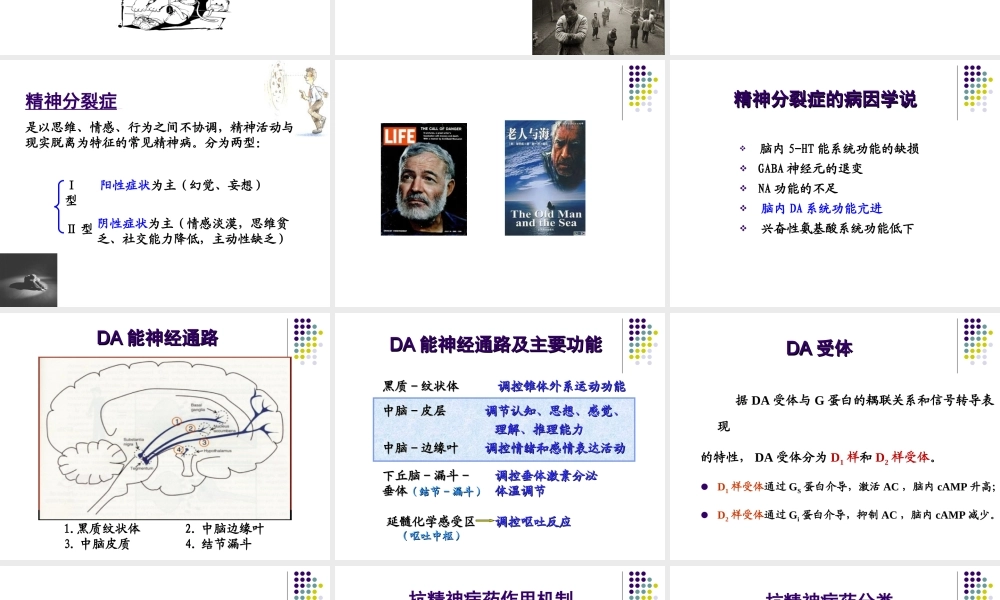 抗精神失常药-HCZ.ppt