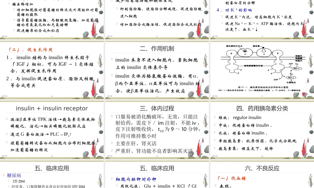 抗糖尿病药(杨).ppt