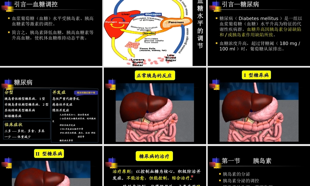 抗组胺药+口服降糖药-(1).ppt