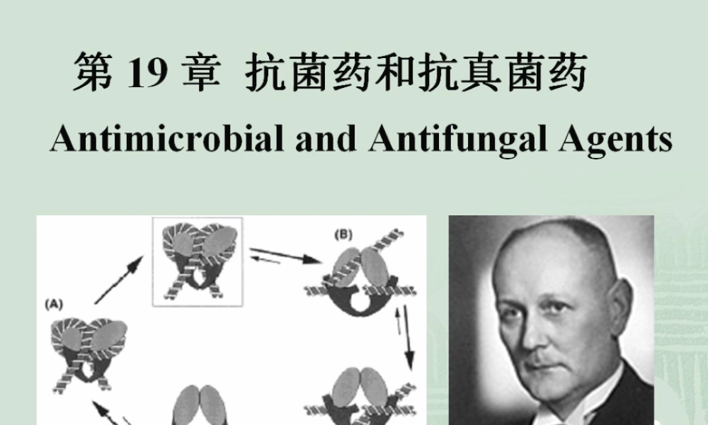 抗菌药-喹诺酮类摘要.ppt
