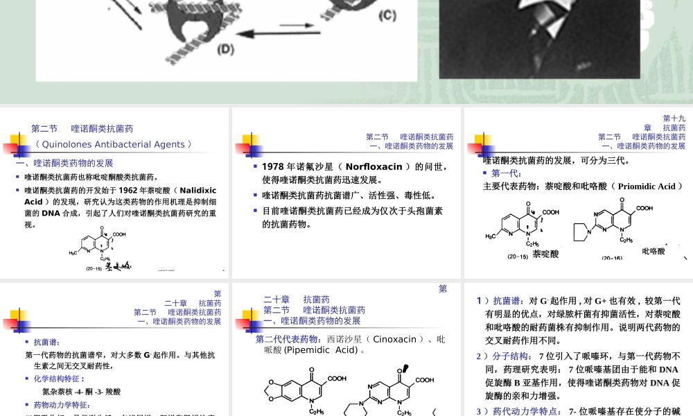 抗菌药-喹诺酮类摘要.ppt