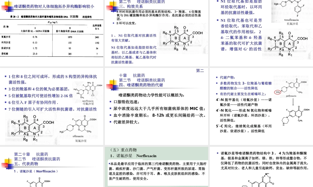 抗菌药-喹诺酮类摘要.ppt
