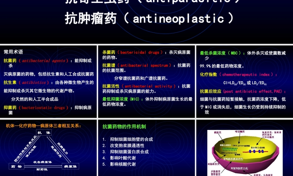 抗菌药概述及B内酰胺类影像.ppt