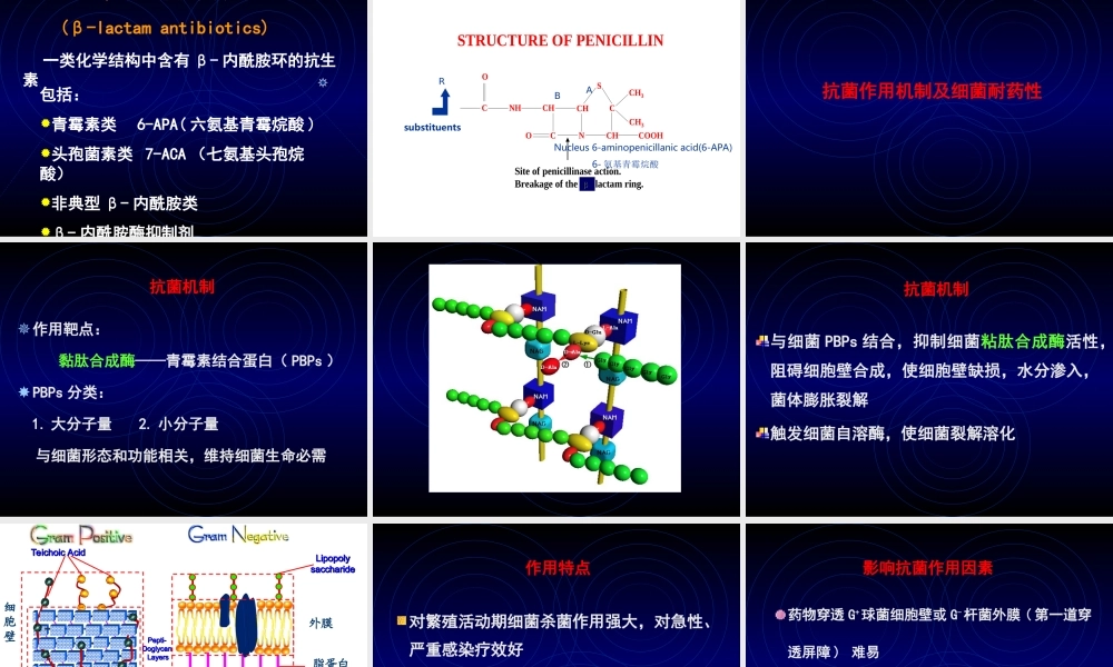 抗菌药概述及B内酰胺类影像.ppt