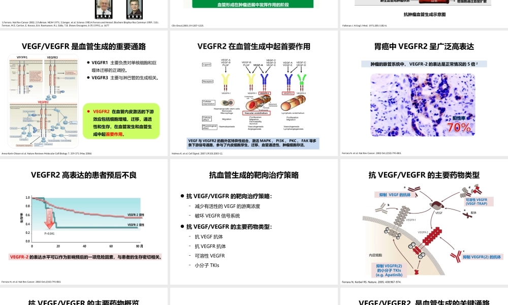 抗血管生成剖析.ppt