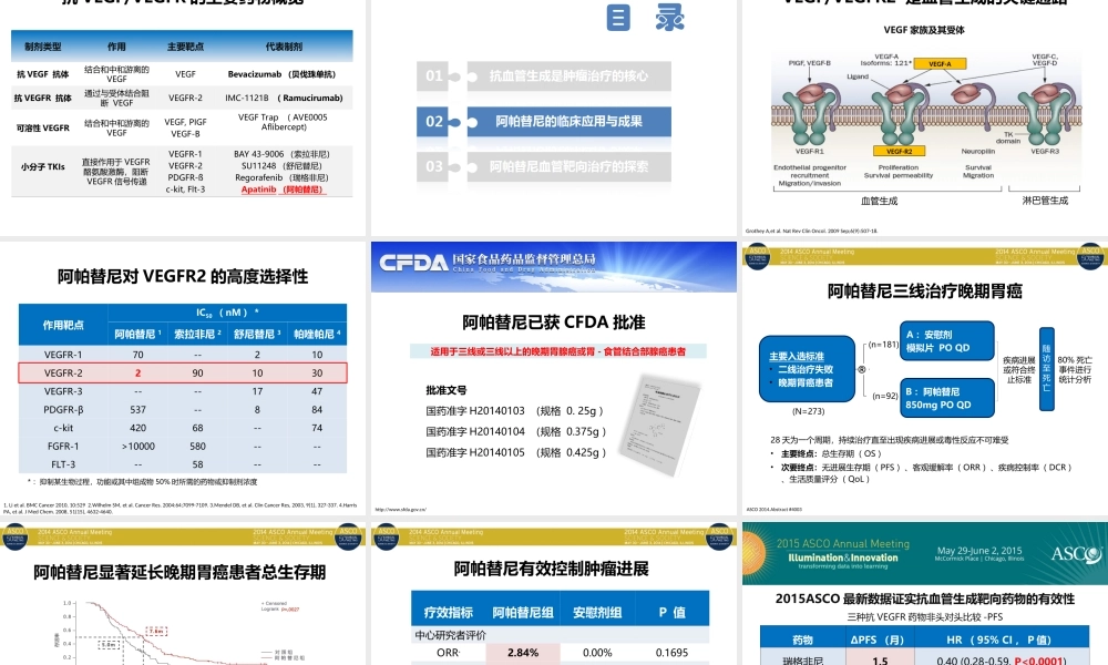 抗血管生成剖析.ppt