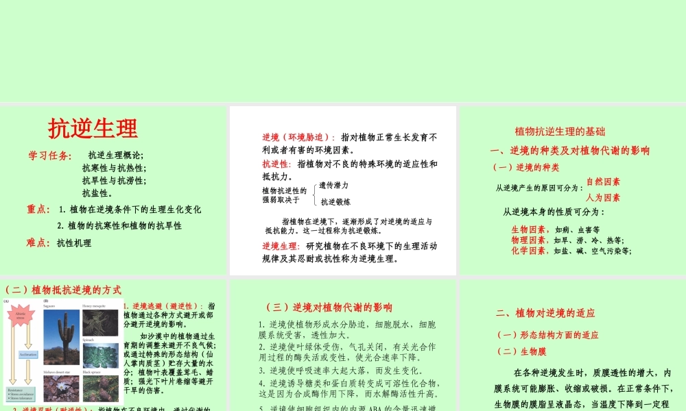 抗逆生理..ppt