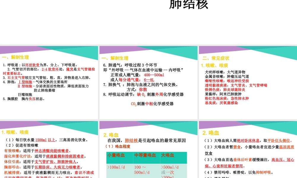 护考呼吸系统.ppt