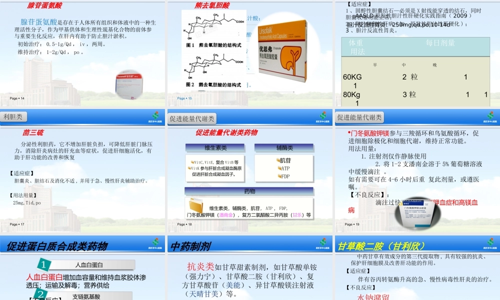 护肝药的选择.ppt