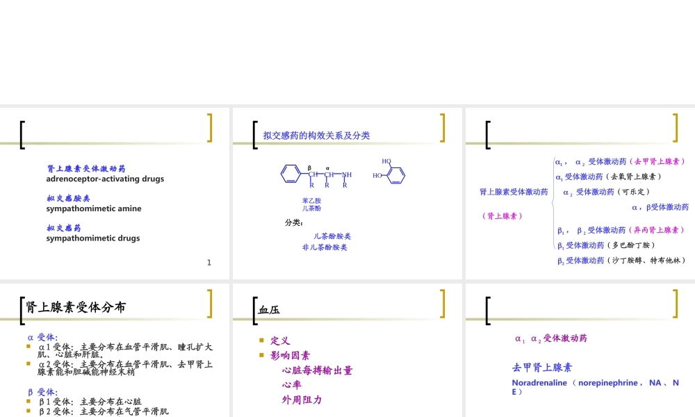 拟交感药.ppt