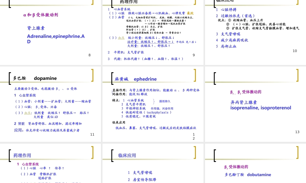 拟交感药.ppt