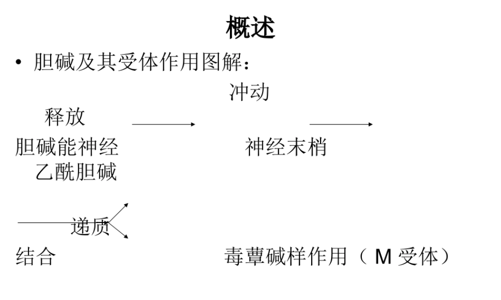 拟胆碱药和抗胆碱.ppt
