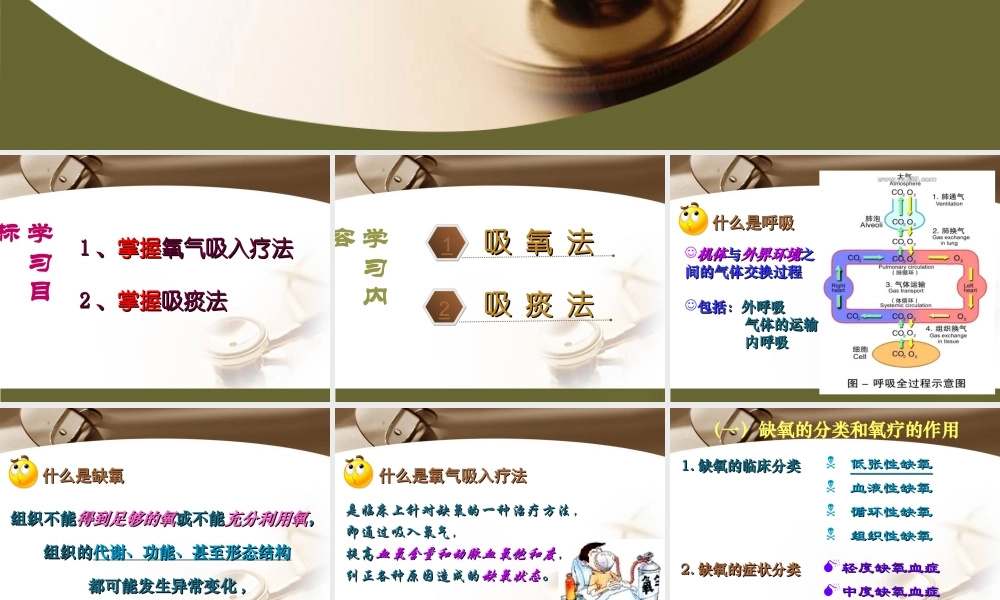 掌握氧气吸入疗法.ppt