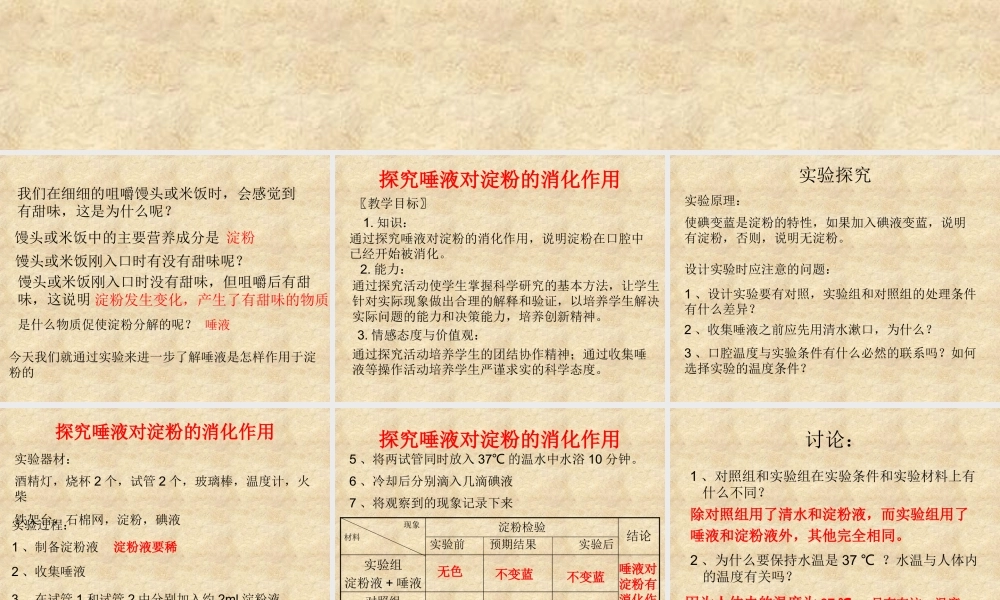 探究唾液对淀粉的消化作用.ppt