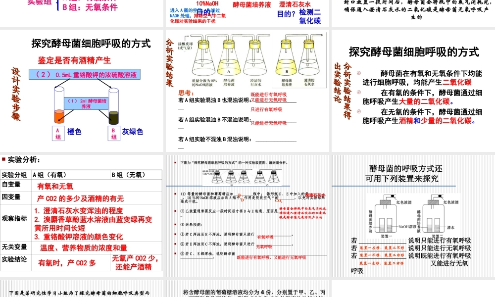 探究酵母菌呼吸方式.ppt