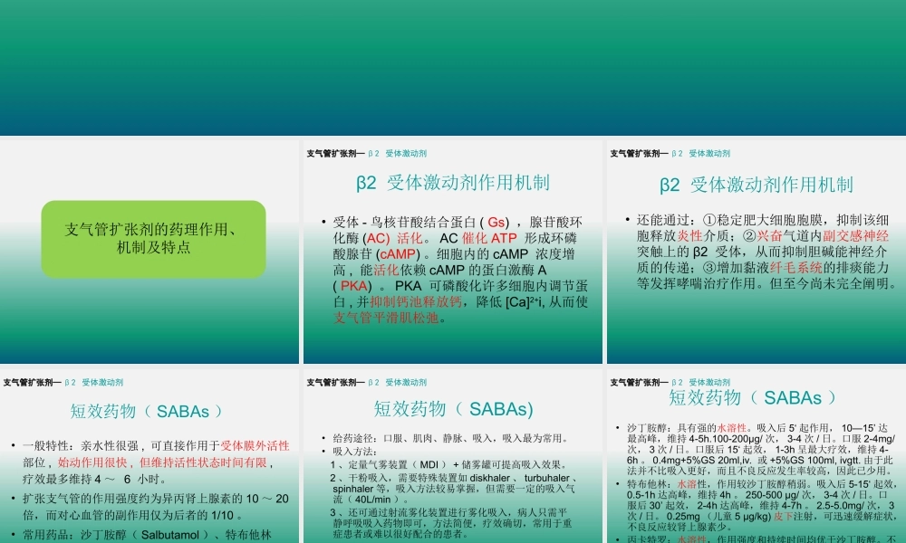 支气管扩张剂的合理使用..ppt