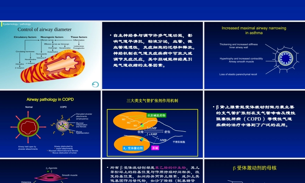 支气管扩张剂作用的分子药理机制.ppt