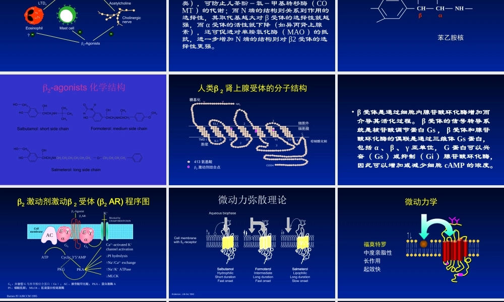 支气管扩张剂作用的分子药理机制.ppt