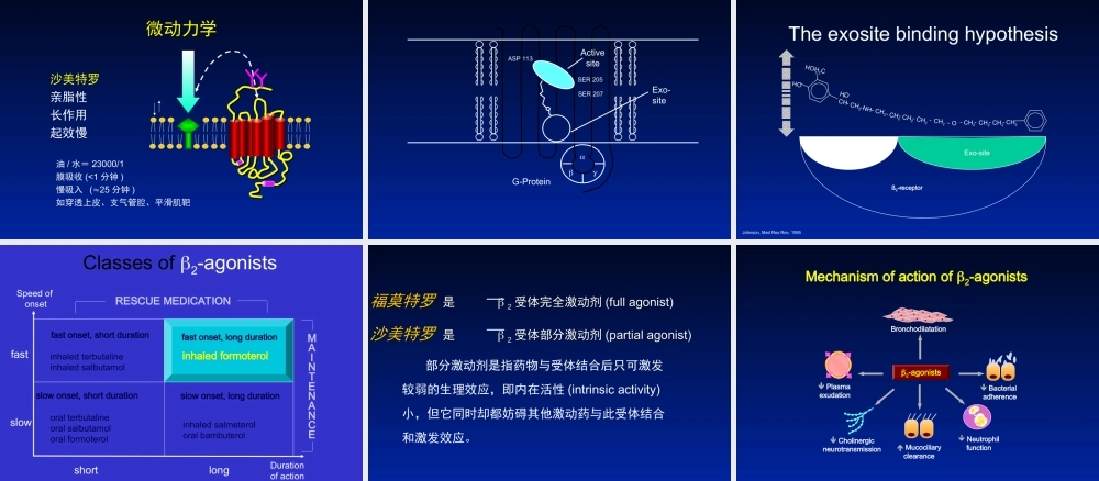 支气管扩张剂作用的分子药理机制.ppt