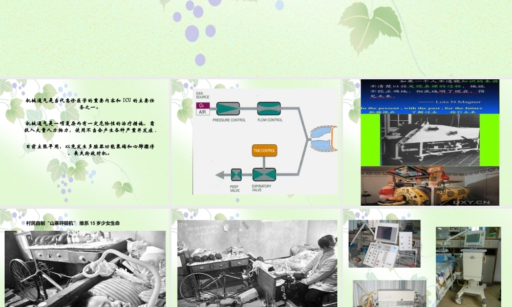 改-儿童呼吸机参数的调节.ppt