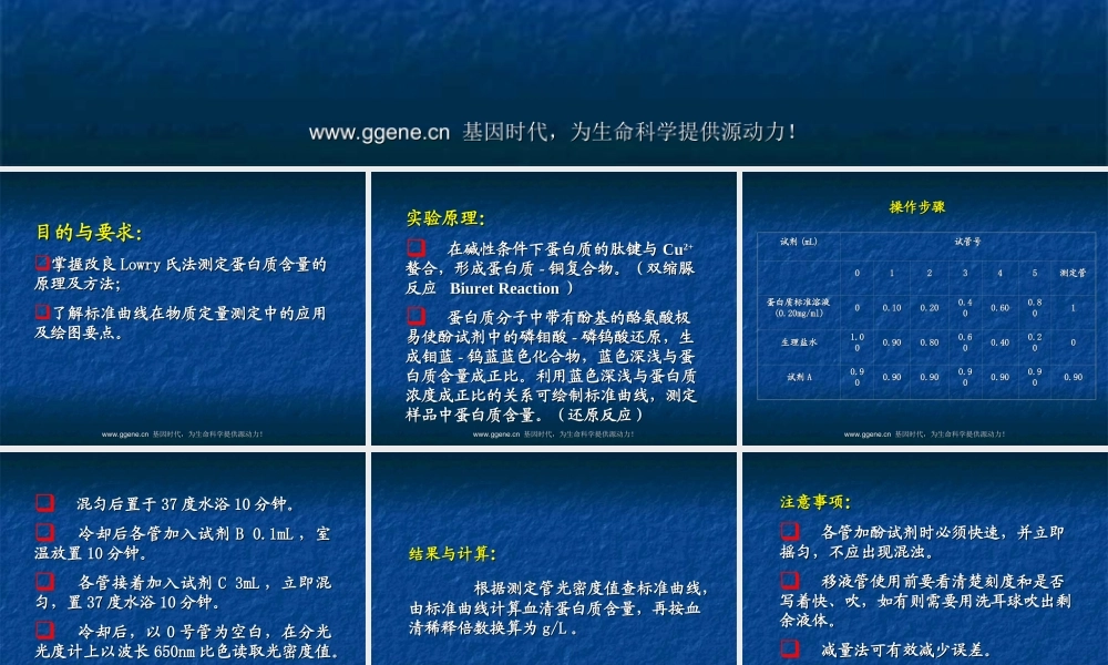 改良Lowry氏法测定蛋白质含量.ppt