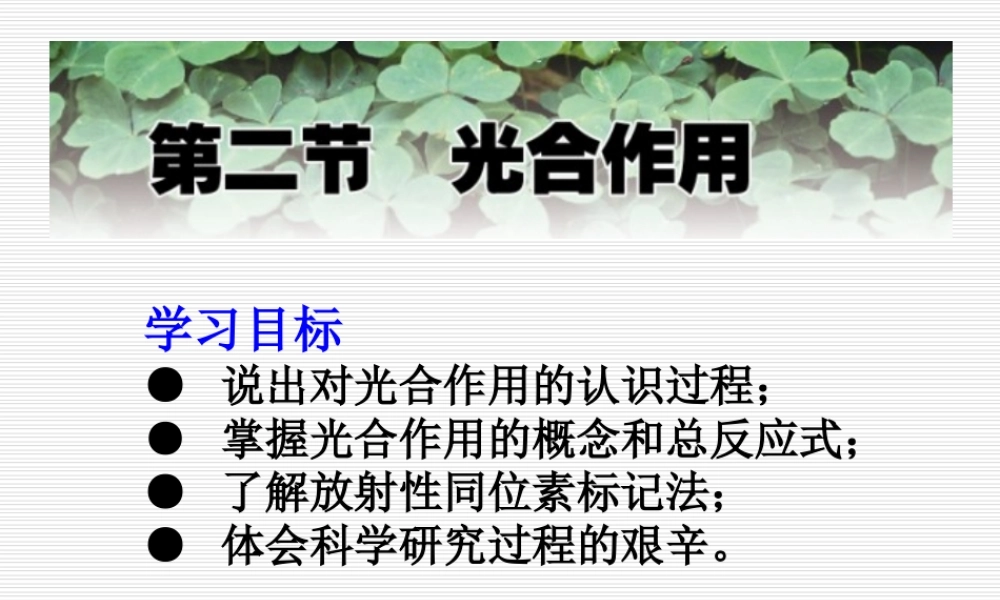 放射性同位素标记法.ppt