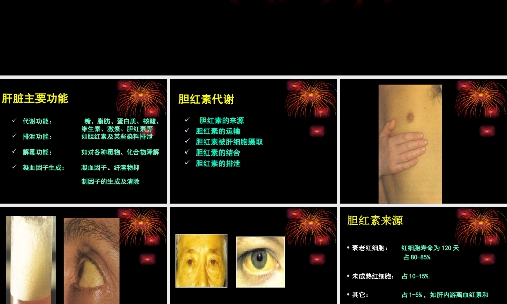 教你看检验单之解读肝功能检查.ppt