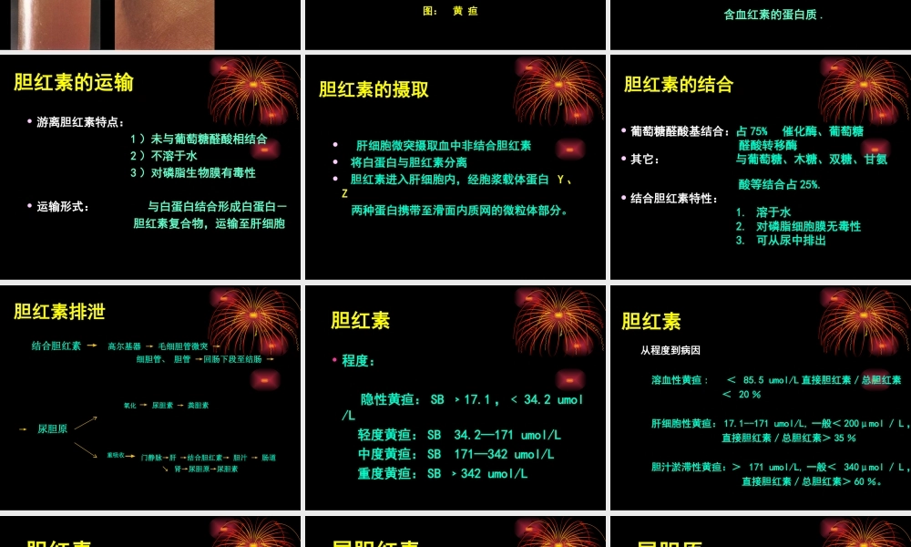 教你看检验单之解读肝功能检查.ppt