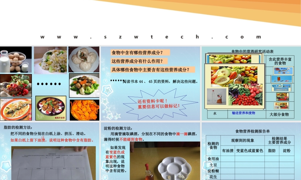 教科版4下-食物中的营养-(2).pptx