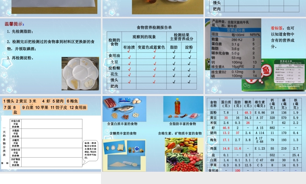 教科版4下-食物中的营养-(2).pptx