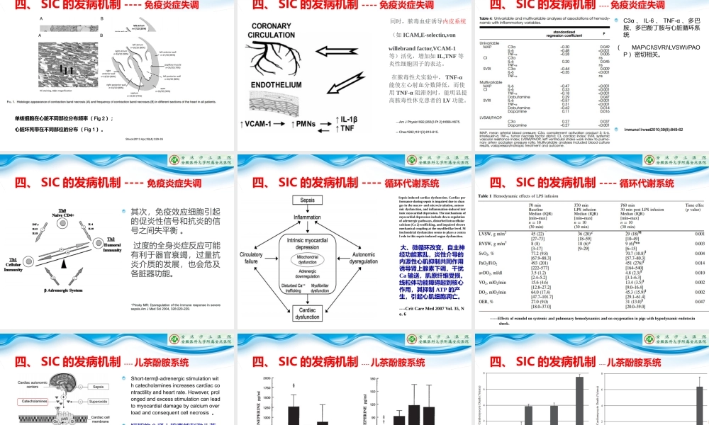 方长太---重症感染心肌损伤.ppt