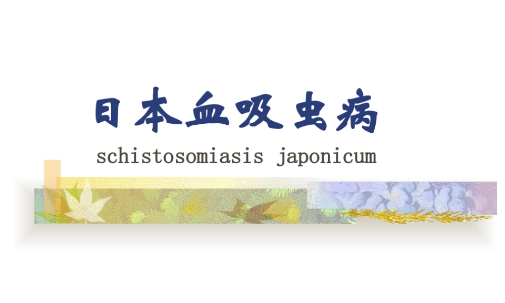 日本血吸虫病ppt(1)..ppt