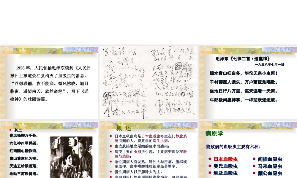 日本血吸虫病ppt(1)..ppt