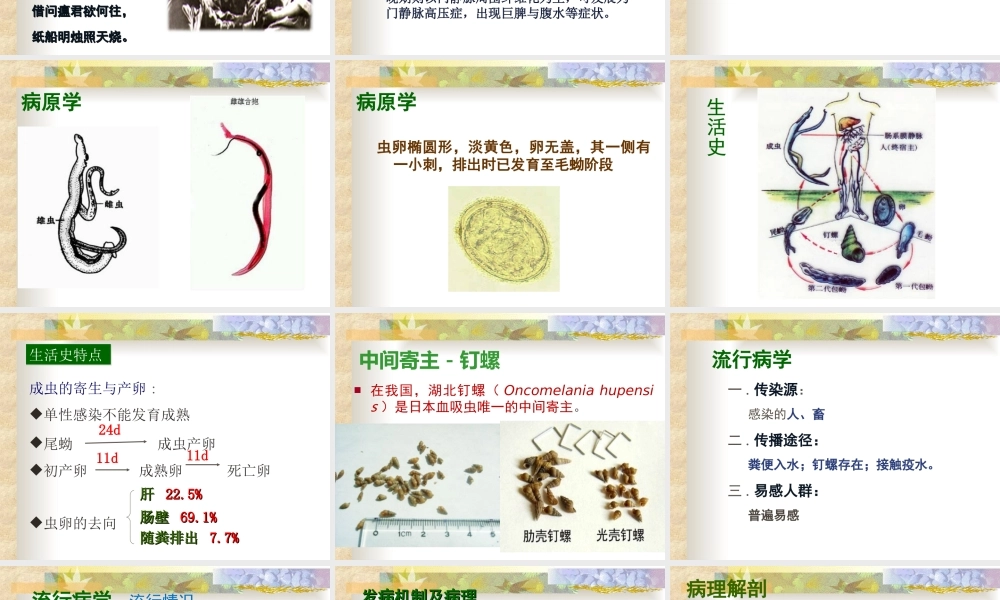 日本血吸虫病ppt(1)..ppt