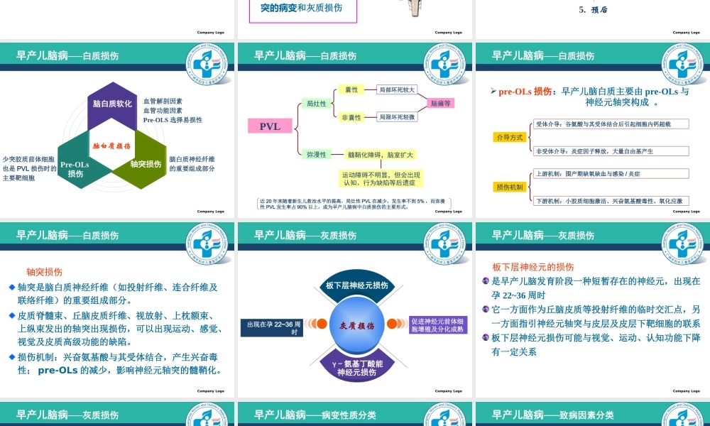 早产儿脑病的研究现状.ppt
